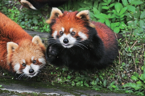 20170717114127854.jpg 20170717114127854.jpg