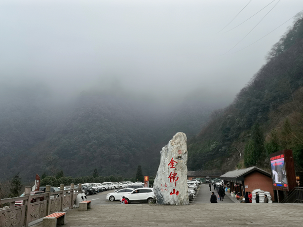 学生王琴1.png 学生王琴1.png