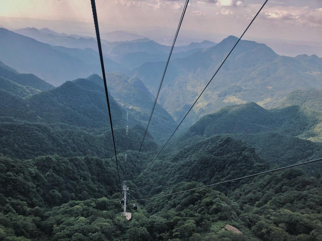 学生王琴2.png 学生王琴2.png