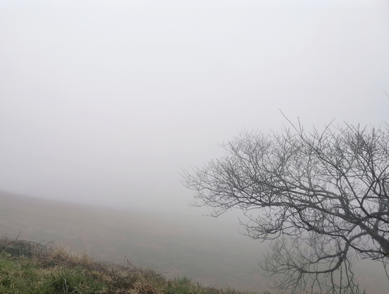 学生王琴3.png 学生王琴3.png