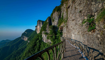 学生王琴6.png 学生王琴6.png