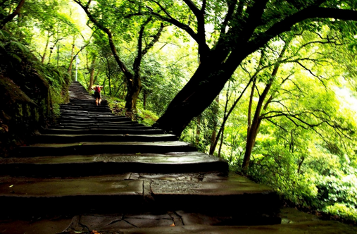 学生徐思佳1.png 学生徐思佳1.png