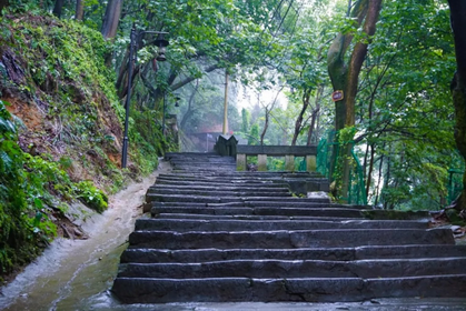 学生徐思佳2.png 学生徐思佳2.png