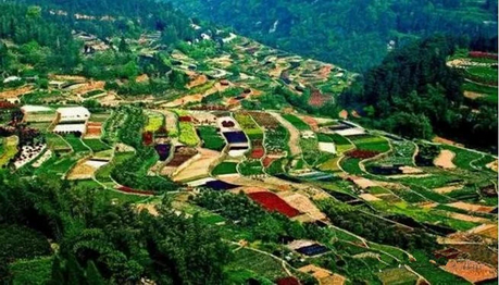 图片4.png 图片4.png