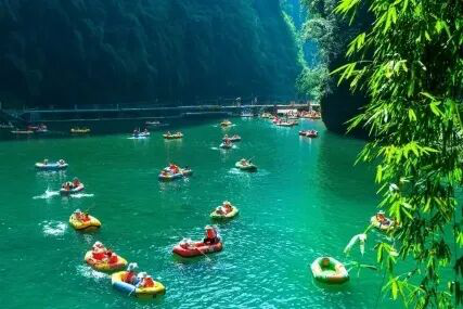 图片1.png 图片1.png