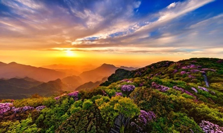 图片4.png 图片4.png