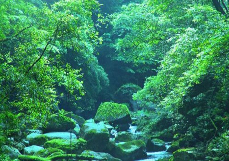 图片6.png 图片6.png