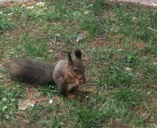 QQ图片20200601161446.png QQ图片20200601161446.png