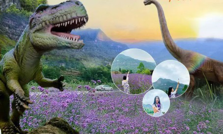 图片5.png 图片5.png