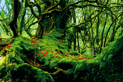 图片3.png 图片3.png