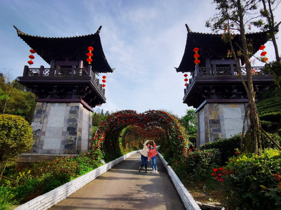 贡茶园入口 贡茶园入口