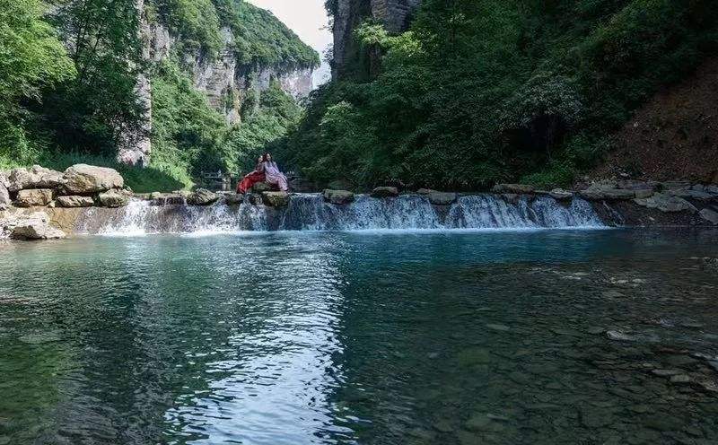 timg (4).jpg timg (4).jpg