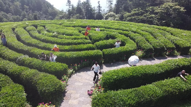 clip_image017.jpg clip_image017.jpg