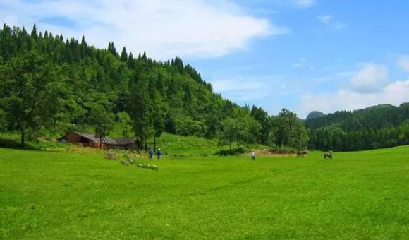 clip_image014.jpg clip_image014.jpg