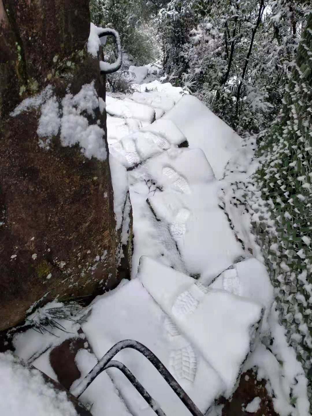 微信图片_20210112104846.jpg 微信图片_20210112104846.jpg