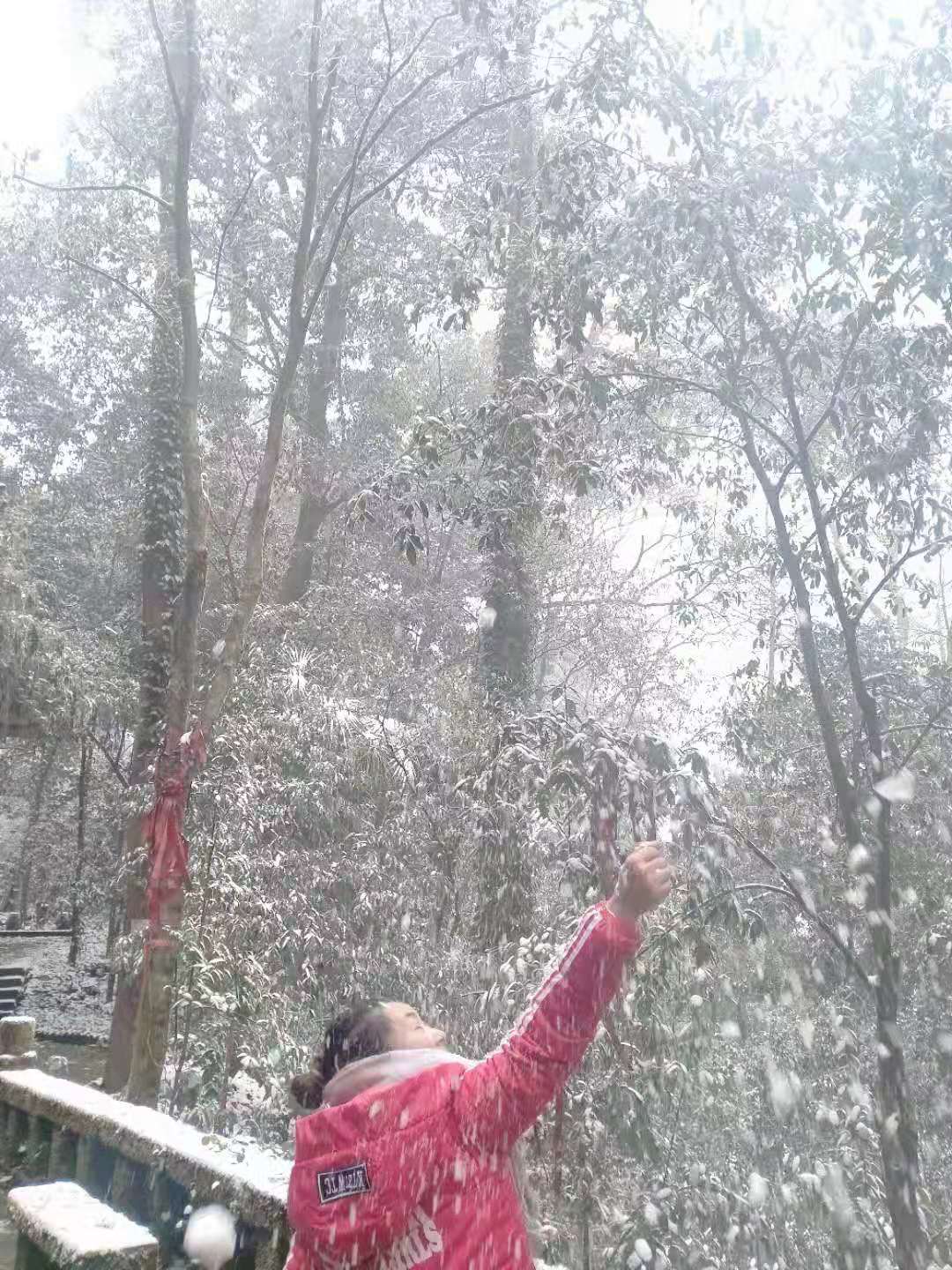 微信图片_20210112104836.jpg 微信图片_20210112104836.jpg