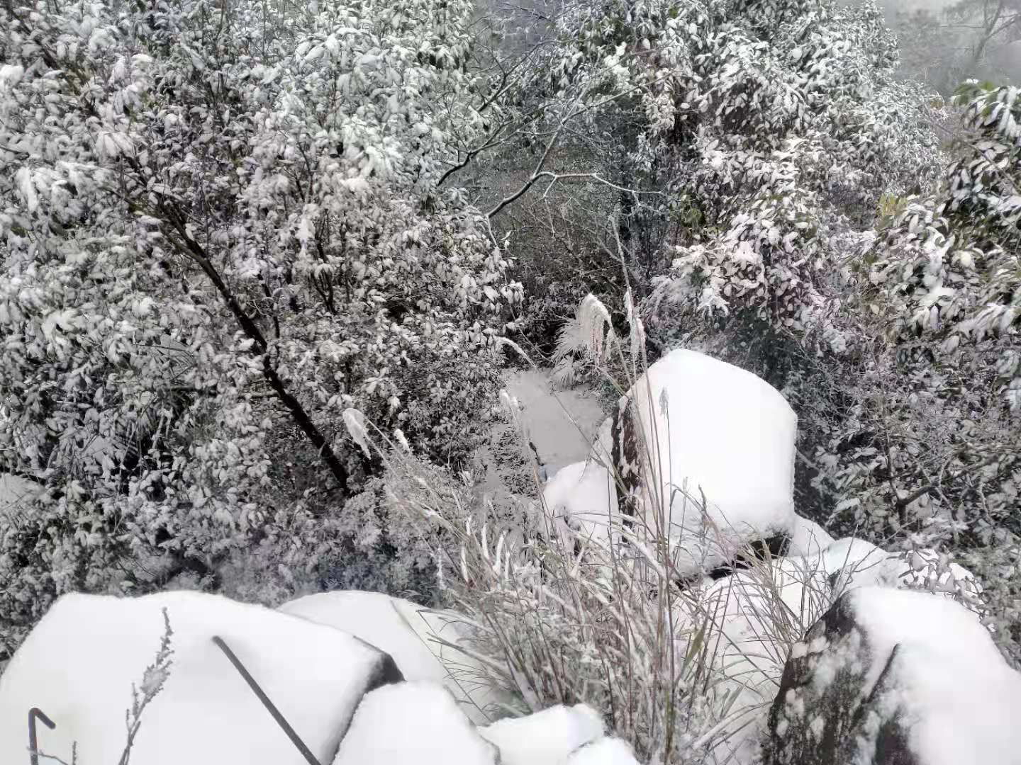 微信图片_20210112104856.jpg 微信图片_20210112104856.jpg