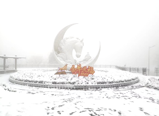 微信图片_20210205163015.png 微信图片_20210205163015.png