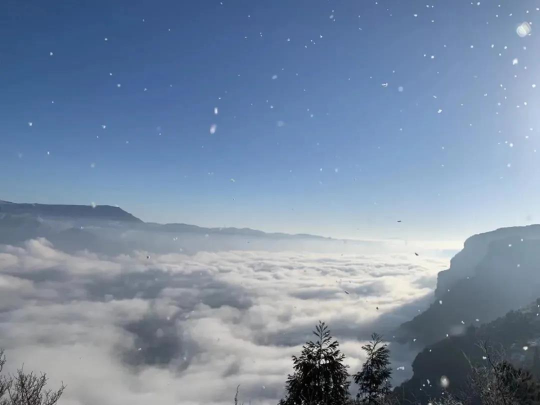 微信图片_20210205163043.jpg 微信图片_20210205163043.jpg