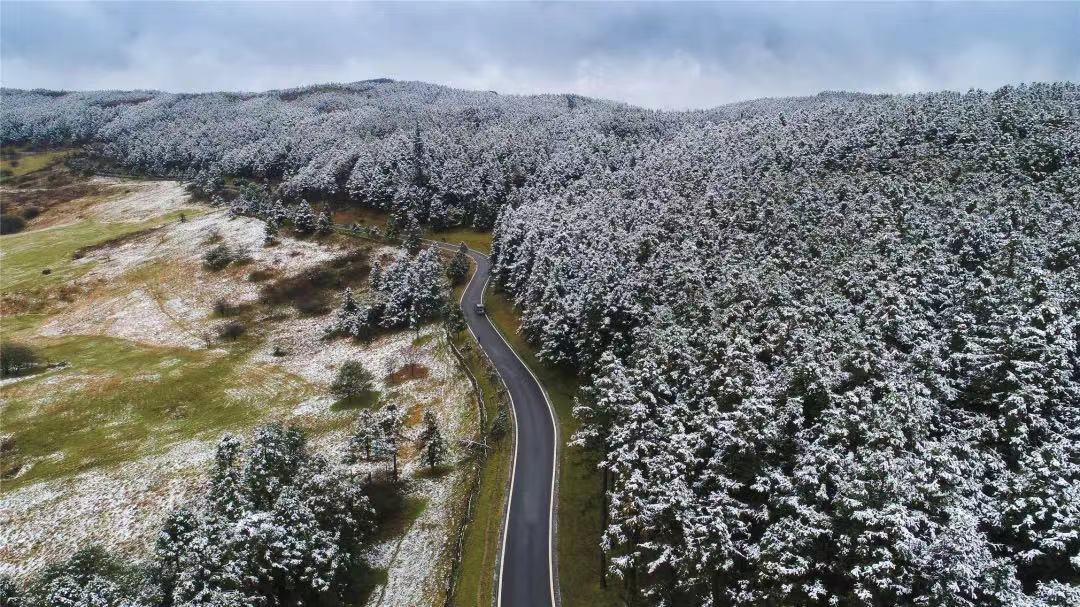 微信图片_20211124150412.jpg 微信图片_20211124150412.jpg