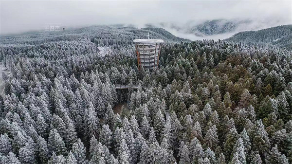 来源:武隆旅游网 来源:武隆旅游网