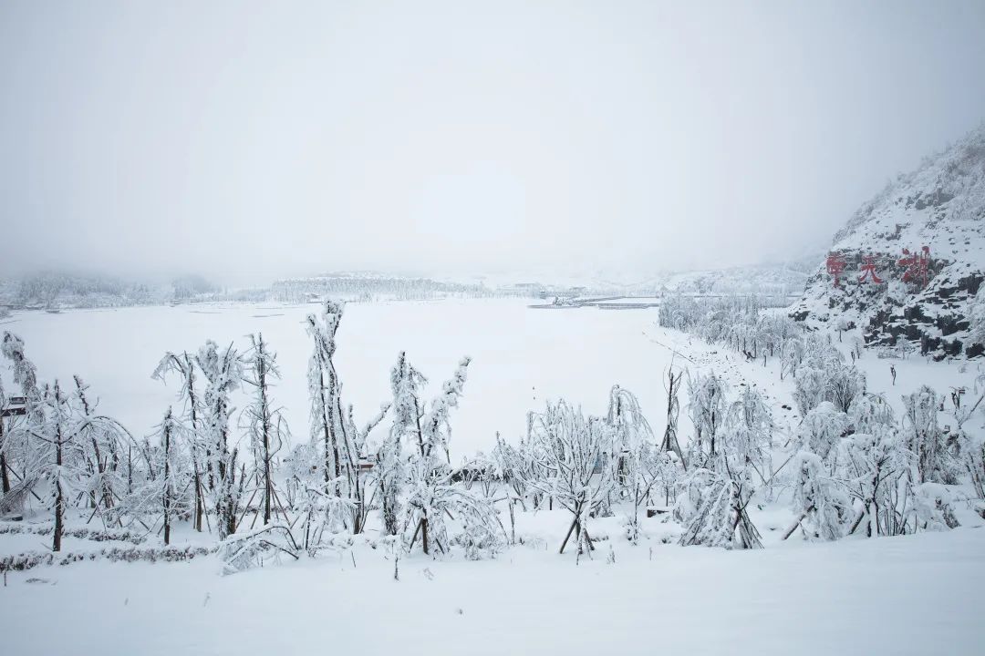 图源南天湖公众号.jpg 图源南天湖公众号.jpg