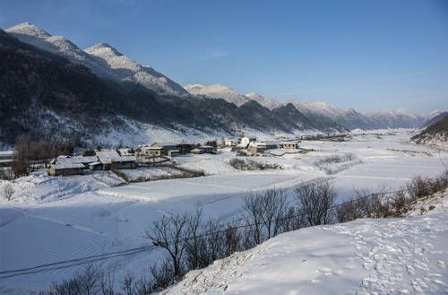 图源上游新闻.png 图源上游新闻.png