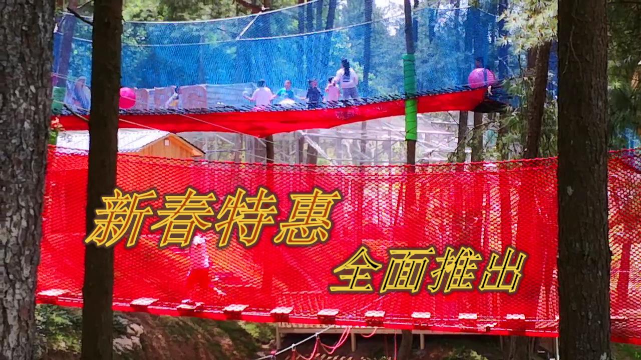 丛林部落 丛林部落